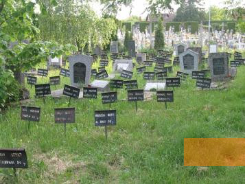 Image: Đakovo, 2007, The Jewish cemetery, Stiftung Denkmal, Stefan Dietrich