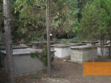 Bild:Kawala, 2009, Auf dem alten jüdischen Friedhof, Stiftung Denkmal, Uwe Seemann