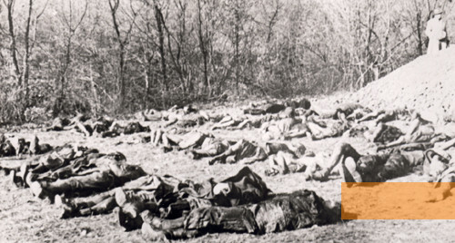 Bild:Kremnička, 1945, Exhumierung der Körper von erschossenen bei Kremnička, Múzeum SNP