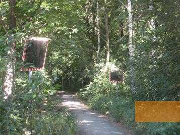 Image: Berlin, 2010, Traffic mirror on the forest trail, Stiftung Denkmal