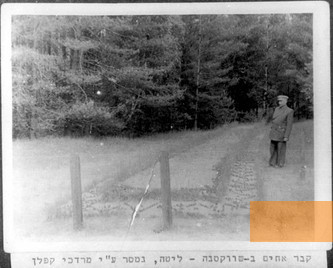Image: Forest of Inkakliai, undated, The mass grave after the war, Yad Vashem