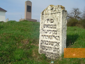 Image: Rohatyn, 2013, At the New Jewish Cemetery, Christian Herrmann