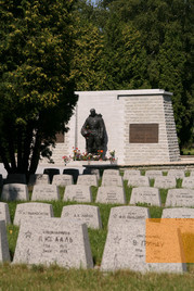Image: Tallinn, 2007, The »Bronze Soldier« on the military cemetery, Steven Hannink