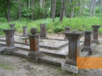 Image: Forest of Szpęgawsk,  2010, Mass grave no. 16, Stiftung Denkmal