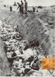 Image: Biķernieki, probably 1941, Mass grave with murdered Jews, Landesarchiv NRW Staatsarchiv Münster