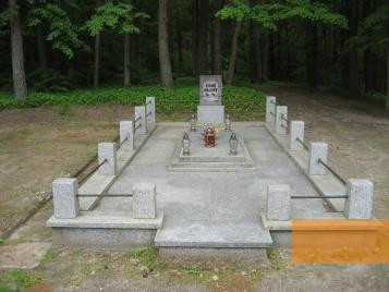 Image: Forest of Szpęgawsk,, 2010, Mass grave no. 14, Stiftung Denkmal