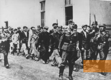 Image: Kragujevac, 1941, German soldiers take residents of Kragujevac to be executed, USHMM