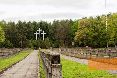 Image: Palmiry, 2014, Cemetery, Paweł Daniluk