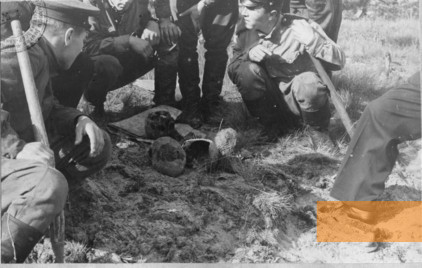 Image: Kalevi-Liiva, 1960, Exhumation of victims at the killing site, Rahvusarhiiv 
