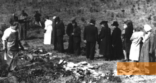 Image: Forest of Szpęgawsk, 1947, Exhumation of victims of the mass shootings, Miejska Biblioteka Publiczna im. ks. Bernarda Sychty w Starogardzie Gdańskim