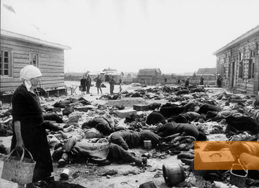 Bild:Borissow, 1944, Leichen von Lagerhäftlingen, die beim deutschen Rückzug ermordet wurden, Yad Vashem