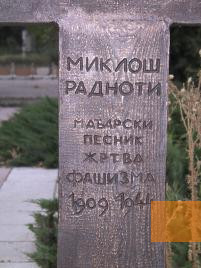 Bild:Bor, o.D., Serbische Inschrift auf dem Denkmal: »Miklós Radnóti, ungarischer Dichter, Opfer des Faschismus«, Silvja Kravic