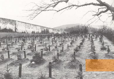 Bild:Hadamar, o.D., Friedhof mit Gräbern der Ermordeten, Landeswohlfahrtsverband Hessen