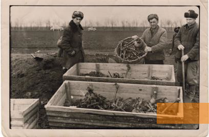 Bild:Dobre, 1959, Exhumierung der sterblichen Überreste vor ihrer Umbettung, Larissa Perman-Traspowa