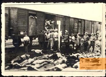 Bild:Târgu Frumos, 1941, Leichen aus Jassy deportierter Juden werden aus dem »Todeszug« geladen, Yad Vashem