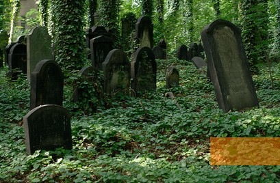 Bild:Gleiwitz, 2012, Jüdischer Friedhof, Tomasz Górny