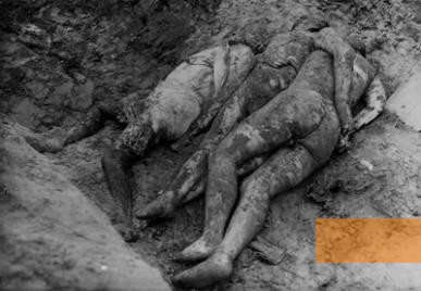 Bild:Lemberg, vermutlich 1944, Opfer einer Erschießung in der Nähe des Lagers Janowska, Dershawnyj archiw Lwiwskoj oblasti