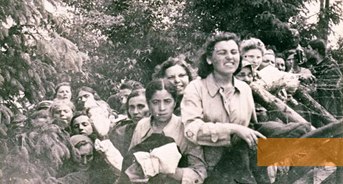 Bild:Łomazy, 18. August 1942, Jüdische Frauen auf dem Weg in ein Waldstück, wo sie erschossen wurden, Staatsarchiv Hamburg