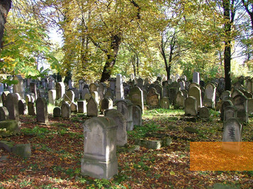 Bild:Tarnów, 2004, Auf dem jüdischen Friedhof, Emmanuel Dyan