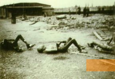 Bild:20. April 1945, Opfer des Massakers im KZ-Außenlager Abtnaundorf, National Archives Washington