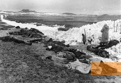 Bild:Kertsch, 1942, Leichen ermordeter Juden, Yad Vashem