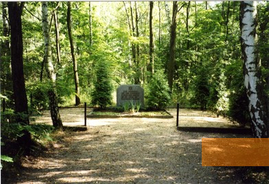 Bild:Wildgrube, 1999, Gedenkstein beim Massengrab am Bahnkilometer 106,7, Erika Arlt