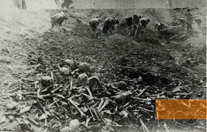 Bild:Bogdanowka, 1944, Exhumierung von Opfern nach dem Ende der Besatzung, Derzhawnij archiw odeskoj oblasti