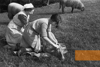 Bild:Ahlem, 1938, Hauswirtschaftsschülerinnen der Israelitischen Gartenbauschule Ahlem auf der Schafweide, Jüdisches Museum Berlin, Herbert Sonnenfeld