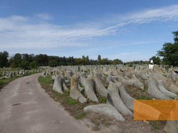Bild:Berditschew, 2017, Jüdischer Friedhof, Stiftung Denkmal