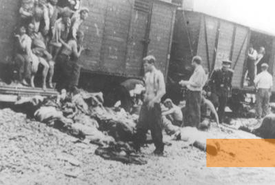 Bild:Bei Târgu Frumos, 1941, Leichen aus einem der »Todeszüge« aus Jassy werden neben die Gleise geworfen, Serviciul Roman de Informatii