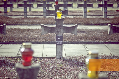 Bild:Palmiry, 2011, Eindrücke vom Friedhof, Robert Danieluk