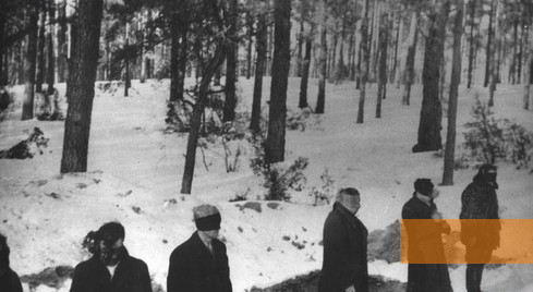 Bild:Palmiry, 1940, Aufnahme des polnischen Untergunds von einer Hinrichtung, gemeinfrei