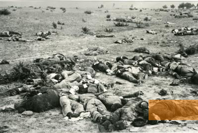 Bild:Bei Pinsk, 6. August 1941, Leichen von jüdischen Männern, die tags zuvor von Angehörigen des SS-Kavallerieregiments 2 ermordet wurden, Privatbesitz, Erich Mirek