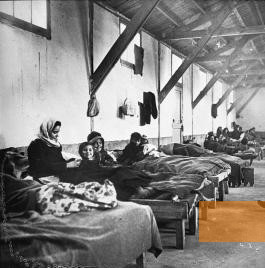 Bild:Rivesaltes, 1942, Internierte im Lager, Fonds Auguste Bohny
