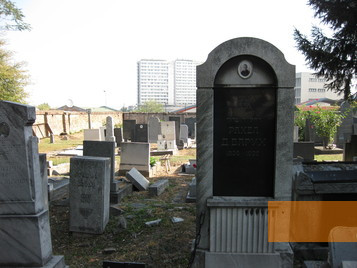 Bild:Belgrad, 2009, Ansicht des jüdischen Friedhofs, Aleksandar Gaev