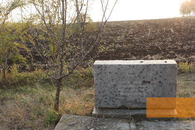 Bild:Domaniwka, 2012, Gedenkstein beim Massengrab, Stiftung Denkmal
