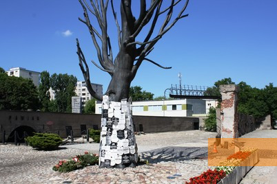 Bild:Warschau, 2013, Bronzebaum und Eingangsbereich, Stiftung Denkmal