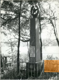 Bild:Klimowitschi, o.D., Sowjetisches Denkmal, Yad Vashem