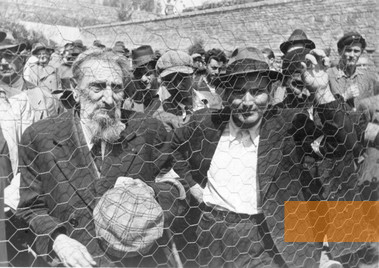 Bild:Belgrad, 1941, Erfassung von Juden zur Zwangsarbeit, Bundesarchiv, Bild 101I-185-0112-34, Neubauer