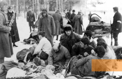Bild:Tschernigow, Februar 1942, Juden aus der Stadt Schtschors (heute Snowsk), die nach Tschernigow verschleppt wurden, werden vor ihrer Erschießung gezwungen, sich auszuziehen, Magyar Nemzeti Múzeum