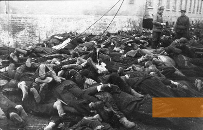 Bild:Sonnenburg, 1945, Sowjetische Soldaten und Opfer eines Massakers, das ein SS-Kommando in der Nacht zum 31. Januar an 800 Häftlingen verübt hatte, Bundesarchiv, Bild 183-E0406-0022-035, k.A.