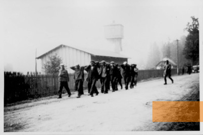 Bild:Raum Bialowies, Sommer 1941, Angehörige des Polizeibataillons 322 treiben jüdische Männer zusammen, wahrscheinlich zu deren Erschießung, Landesarchiv Baden-Württemberg, Staatsarchiv Freiburg F 176/13 Nr. 14-24a