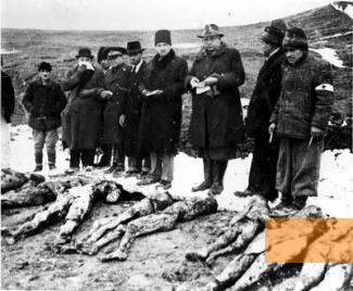 Bild:Sărmaşu, 1945, Exhumierung der Opfer, Yad Vashem