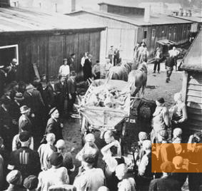 Bild:Gusen, 8. Mai 1945, Abtransport von etwa 2.000 Leichen aus den Lagern Gusen I und II, USHMM, US Signal Corps