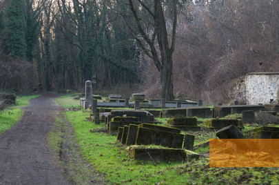 Bild:Tschenstochau, 2013, Auf dem jüdischen Friedhof, Takimiro