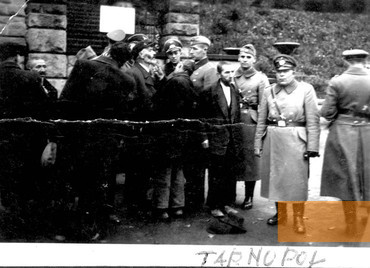 Bild:Tarnopol, 1941, Deutsche Offiziere schneiden jüdischen Männern den Bart ab, Yad Vashem