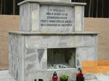 Image: Mniszek, undated, Memorial plaque and remains of victims at the mass grave, Szpital dla Nerwowo i Psychicznie Chorych w Świeciu