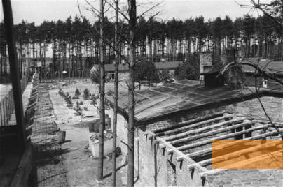 Bild:Wöbbelin, Frühjahr 1945, Das Lager kurz nach der Befreiung durch die US-Armee, USHMM