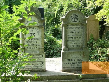 Bild:Békéscsaba, 2005, Grabsteine auf dem jüdischen Friedhof, jewish-bekescsaba.com
