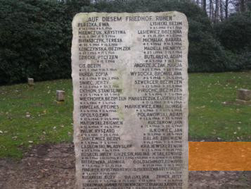 Bild:Oerbke, 2007, Gedenkstein auf dem Friedhof der Namenlosen, Gemeindefreier Bezirk Osterheide
